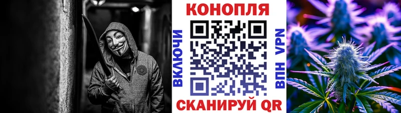 Где купить наркоту Кировск Alpha-PVP  Канабис  КОКАИН  ссылка на мегу ONION  ГАШИШ  Мефедрон 