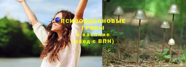 круглые Бронницы