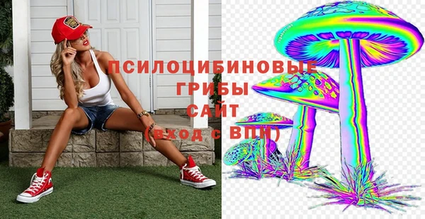 СК Бугульма