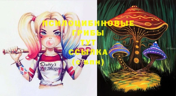 круглые Бронницы