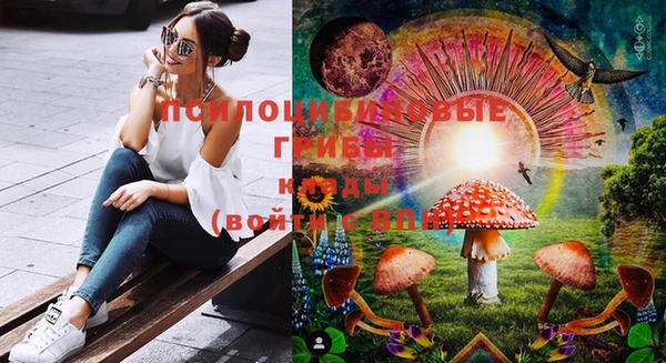 круглые Бронницы