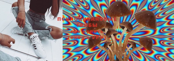 круглые Бронницы