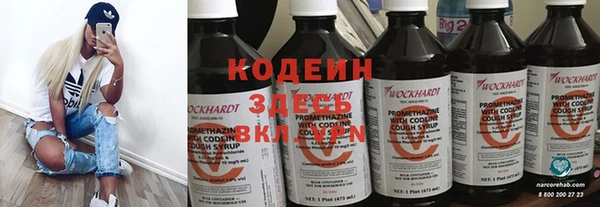 ГАЛЛЮЦИНОГЕННЫЕ ГРИБЫ Бородино